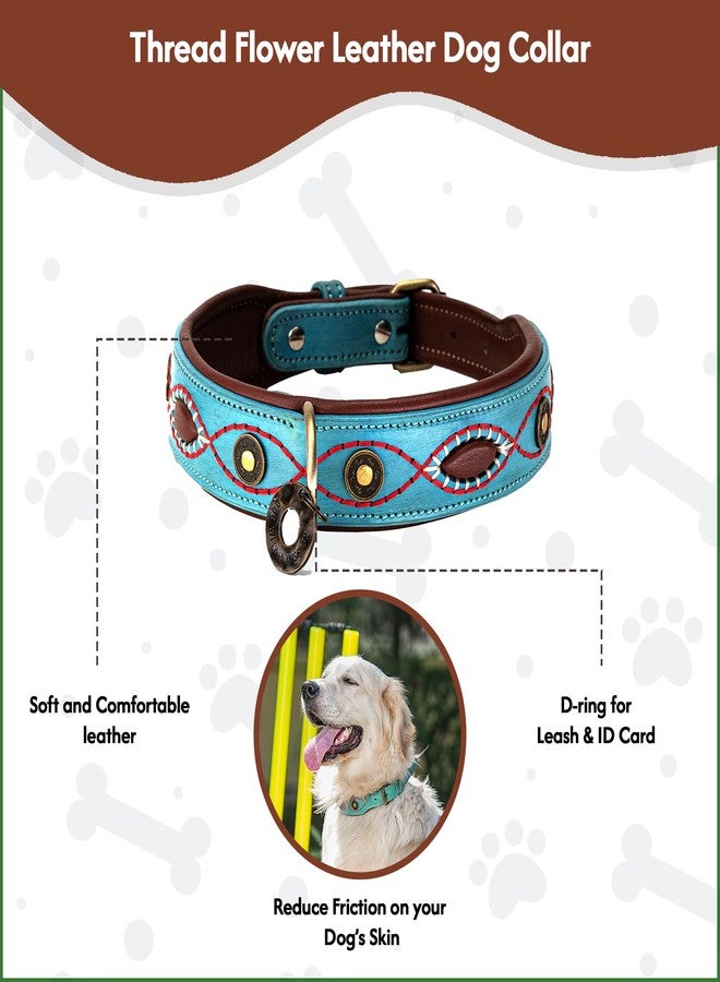 ADIL'S Adil’S Coin Studded Leather Dog Collar 1.5inch Width - Premium Stitching Design with Strong Metal Buckle & D-Ring, Suitable for Small Medium & Large Dogs, Size: S to XL, Sky Blue - Image 2